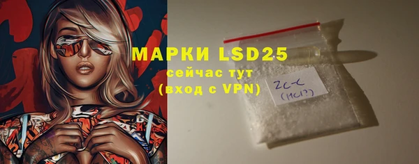 прущий лед Горняк